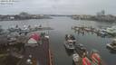 ./images/victoria/wharf/20200130/wharf20200130_094949.jpg