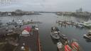 ./images/victoria/wharf/20200130/wharf20200130_095452.jpg