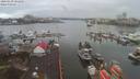 ./images/victoria/wharf/20200130/wharf20200130_100951.jpg