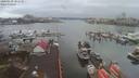 ./images/victoria/wharf/20200130/wharf20200130_101453.jpg