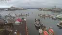 ./images/victoria/wharf/20200130/wharf20200130_101956.jpg