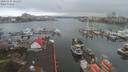 ./images/victoria/wharf/20200130/wharf20200130_104953.jpg