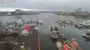 ./images/victoria/wharf/20200130/wharf20200130_105456.jpg