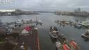 ./images/victoria/wharf/20200130/wharf20200130_110955.jpg