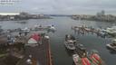 ./images/victoria/wharf/20200130/wharf20200130_111458.jpg