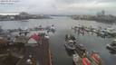 ./images/victoria/wharf/20200130/wharf20200130_111950.jpg
