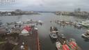 ./images/victoria/wharf/20200130/wharf20200130_112957.jpg