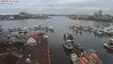 ./images/victoria/wharf/20200130/wharf20200130_113954.jpg
