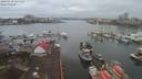 ./images/victoria/wharf/20200130/wharf20200130_114456.jpg