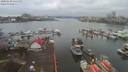 ./images/victoria/wharf/20200130/wharf20200130_115452.jpg
