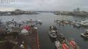 ./images/victoria/wharf/20200130/wharf20200130_120951.jpg