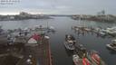 ./images/victoria/wharf/20200130/wharf20200130_122450.jpg