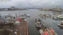 ./images/victoria/wharf/20200130/wharf20200130_131957.jpg