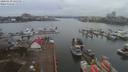 ./images/victoria/wharf/20200130/wharf20200130_141459.jpg