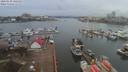 ./images/victoria/wharf/20200130/wharf20200130_142455.jpg