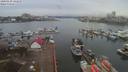 ./images/victoria/wharf/20200130/wharf20200130_143952.jpg