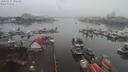 ./images/victoria/wharf/20200131/wharf20200131_092454.jpg