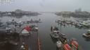 ./images/victoria/wharf/20200131/wharf20200131_094455.jpg