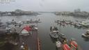 ./images/victoria/wharf/20200131/wharf20200131_101452.jpg