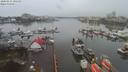 ./images/victoria/wharf/20200131/wharf20200131_105456.jpg