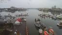 ./images/victoria/wharf/20200131/wharf20200131_110956.jpg