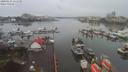 ./images/victoria/wharf/20200131/wharf20200131_111449.jpg
