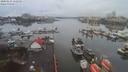 ./images/victoria/wharf/20200131/wharf20200131_112455.jpg
