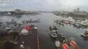 ./images/victoria/wharf/20200131/wharf20200131_115454.jpg