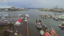 ./images/victoria/wharf/20200131/wharf20200131_142458.jpg