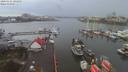 ./images/victoria/wharf/20200131/wharf20200131_143956.jpg