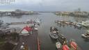 ./images/victoria/wharf/20200131/wharf20200131_144458.jpg