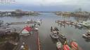 ./images/victoria/wharf/20200131/wharf20200131_145453.jpg