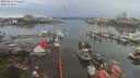 ./images/victoria/wharf/20200131/wharf20200131_150952.jpg