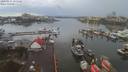 ./images/victoria/wharf/20200131/wharf20200131_151455.jpg