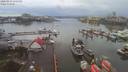 ./images/victoria/wharf/20200131/wharf20200131_152451.jpg