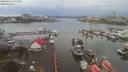 ./images/victoria/wharf/20200131/wharf20200131_152954.jpg