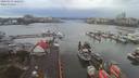 ./images/victoria/wharf/20200131/wharf20200131_160452.jpg