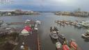 ./images/victoria/wharf/20200131/wharf20200131_161950.jpg