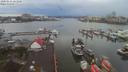 ./images/victoria/wharf/20200131/wharf20200131_162957.jpg