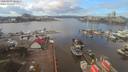 ./images/victoria/wharf/20200203/wharf20200203_123952.jpg