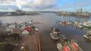 ./images/victoria/wharf/20200203/wharf20200203_124455.jpg