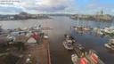 ./images/victoria/wharf/20200203/wharf20200203_124958.jpg
