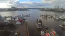 ./images/victoria/wharf/20200203/wharf20200203_141457.jpg