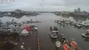./images/victoria/wharf/20200204/wharf20200204_102950.jpg