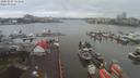./images/victoria/wharf/20200204/wharf20200204_112953.jpg