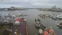 ./images/victoria/wharf/20200204/wharf20200204_121458.jpg