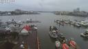 ./images/victoria/wharf/20200204/wharf20200204_123952.jpg