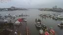 ./images/victoria/wharf/20200204/wharf20200204_134449.jpg