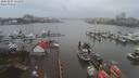 ./images/victoria/wharf/20200204/wharf20200204_134952.jpg