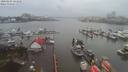 ./images/victoria/wharf/20200204/wharf20200204_140953.jpg